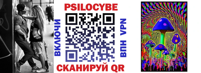 Купить закладки  Саранск  Псилоцибиновые грибы Magic Shrooms 